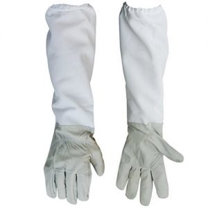 bee gloves3